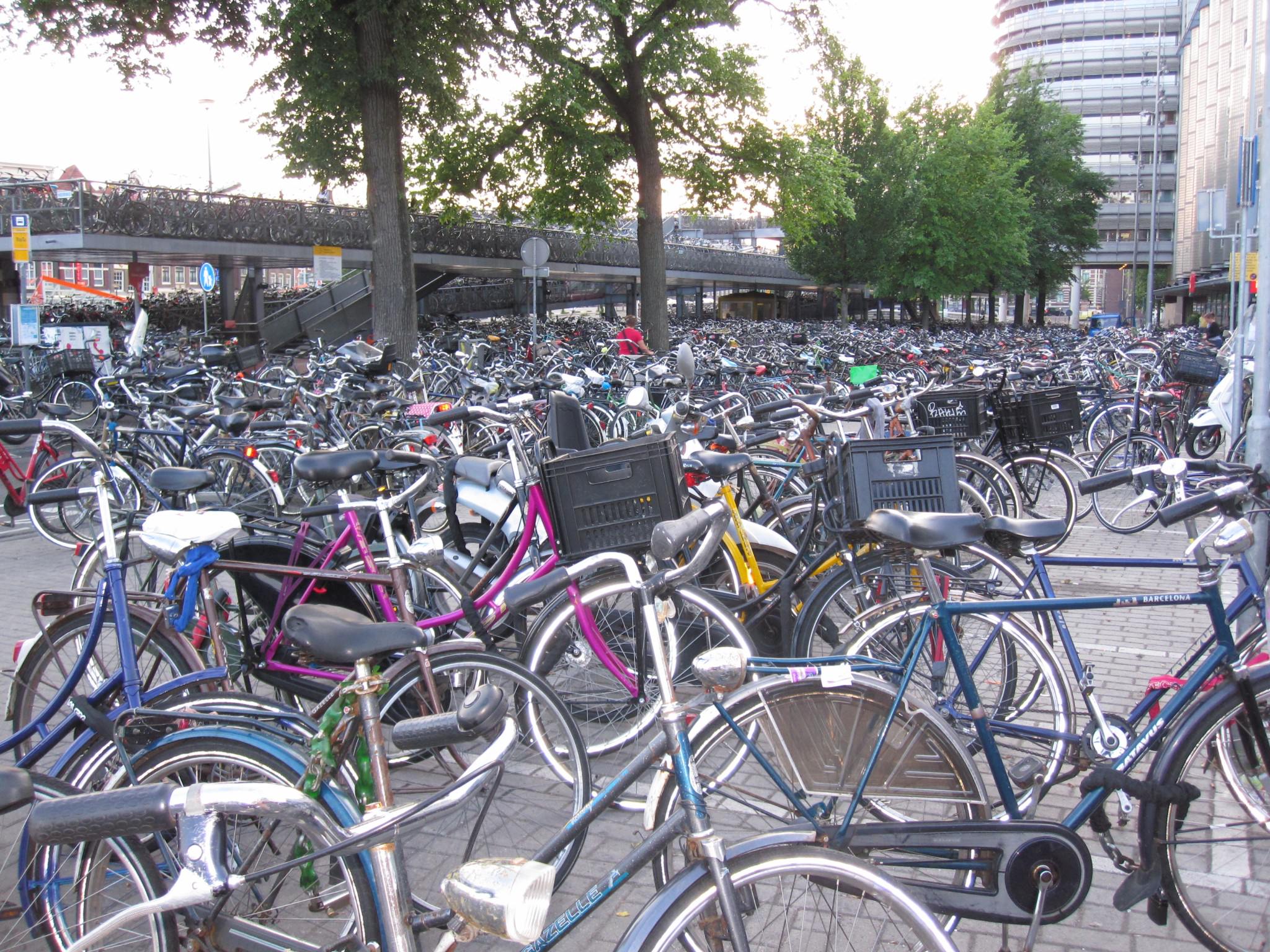 Sea of bikes in Amsterdam